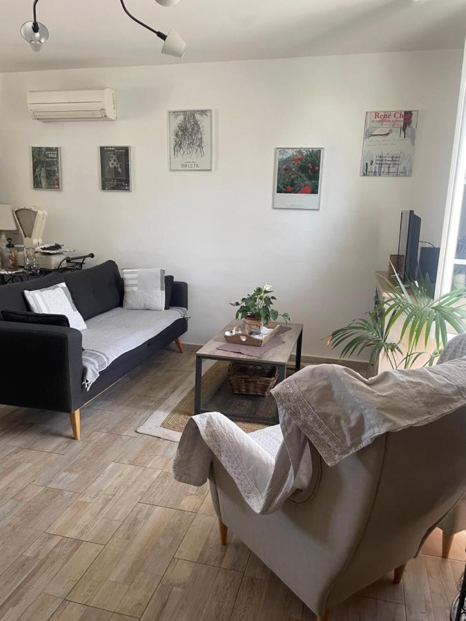 Appartement Avec Jardin En Ville LʼIsle-sur-la-Sorgue Esterno foto